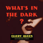 What's In the Dark - kaft audioboek Blackstone Audio, Inc., voorgelezen door Traber Burns, 1 mei 2015