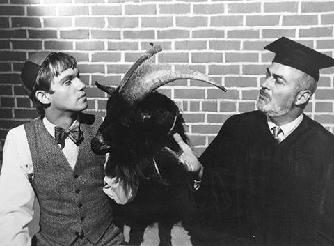 Richard Thomas (L), as John-Boy Walton, finds his first day at college is a series of disasters when he is duped into taking a goat to Prof. Ghote, the chairman of the English department (Lawrence Dobkin), in "The First Day" ("The Waltons", CBS, Sep 19. 1974)
