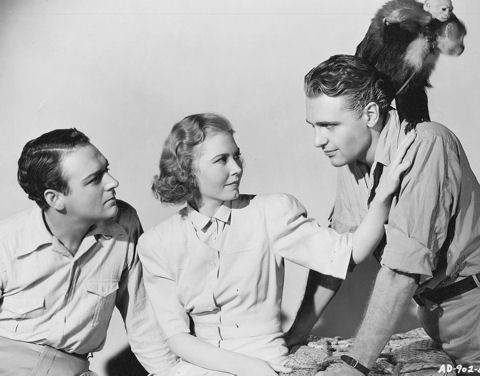  In "The Crime of Doctor Hallet" (Universal, Mar 11.1938) William Gargan, Josephine Hutchinson and Ralph Bellamy starred together as doctors looking for a cure.