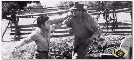 In "Flaming Star" (20th Century-Fox, 16 dec 1960) geraakte Tom verwikkeld in een gevecht met Elvis Presley.